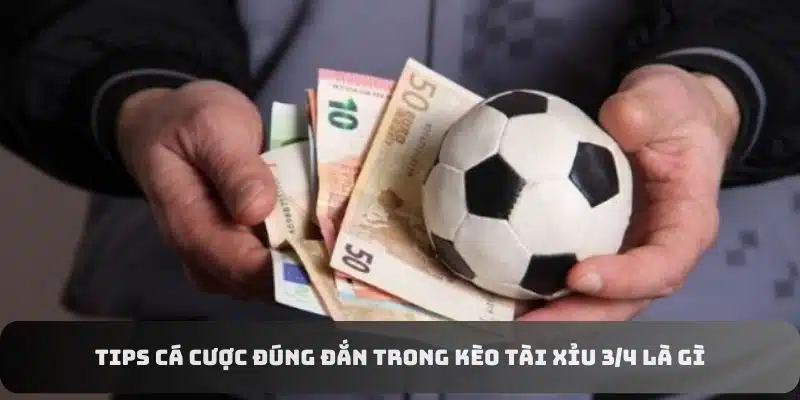 Tips cá cược đúng đắn trong kèo tài xỉu 3/4 là gì